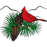 Keller Williams Realty-Carolina Cone Team