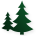 Cartner Christmas Tree Farm