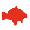 Angelshop Carp Elite