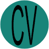 Carpet Village Inc