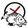 Carp Time S.a.s. Di Di Lorenzi Diego & C.