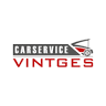 Carservice Vintges