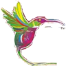 Casa Colibri Minca