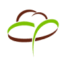 House Plant