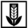 CASADEMONT CASTELLÓ S.L .