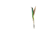 Casa Pindal
