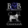 B&B Casasolana