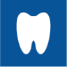 Casco Bay Dental