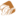 Caspian Mode