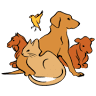 Cass Veterinary Services