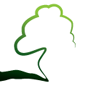 Castanje Management & Advies