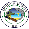 Çatalzeytin