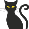 Cat Care Hospital