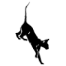 Cat Clinic of Johnson County