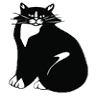 Cat Clinic
