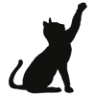 Cat Defence Network