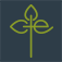 Kathy J. Thiegs, PT