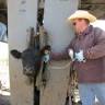 CATL Resources Livestock Equipment