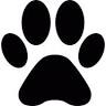 Catskill Veterinary Services, PLLC