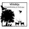 Wildlife Rehabilitation & Release