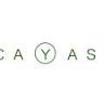 Cayas