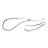 Caymline