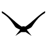 Neofly