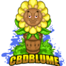 CBD Blume