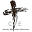 Calvary Chapel Edmonton