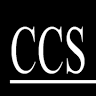 CCS Consultants, Inc.