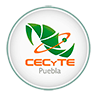 CECYTE PUEBLA COLEGIO DE ESTUDIOS CIENTÍFICOS Y TECNOLOGICOS DEL ESTADO DE PUEBLA
