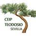 College of Education and Primary Teodosio