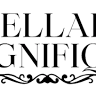 Cellar Magnifique Wine Bar, Cafe, and Events