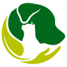 Veterinary Clinic CEMVET