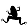 Cenote Elvira