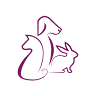 Center Animal Clinic Viborg