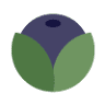 Center for Nutritional Healing