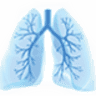 Central Coast Chest Consultants