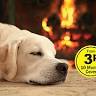 Central Heating Hub