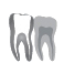 Central Ohio Root Canals LLC