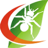 Central Termite and Pest Control