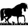 Central Veterinary Clinic (Bashaw)