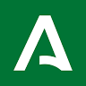 Centro Andaluz De Flamenco Junta De Andalucía