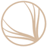 Wheat Esthetic Center - CET