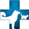Centro Veterinario Solunto