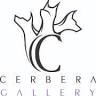 Cerbera Gallery