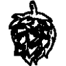 Antares Zárate