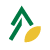 CFBL Coopérative Forestière