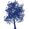 CFCCU