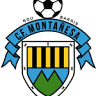 C.F. Montanyesa